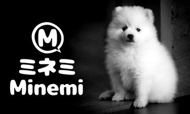 Minemi.com - Creative brandable domain for sale