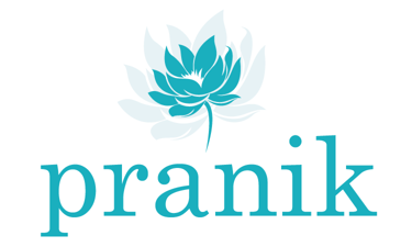 pranik.com - Creative brandable domain for sale