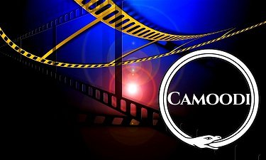 Camoodi.com - Creative brandable domain for sale