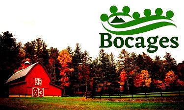 Bocages.com - Creative brandable domain for sale