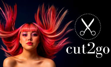 Cut2go.com - Creative brandable domain for sale