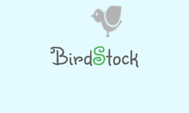 BirdStock.com - Creative brandable domain for sale