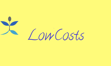 LowCosts.com - Creative brandable domain for sale