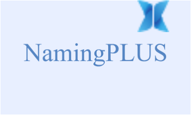 NamingPlus.com - Creative brandable domain for sale