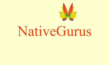 NativeGurus.com - Creative brandable domain for sale