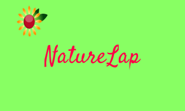 NatureLap.com - Creative brandable domain for sale