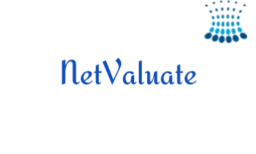 NetValuate.com - Creative brandable domain for sale