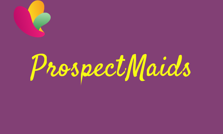 ProspectMaids logo