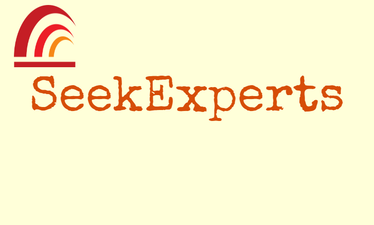 SeekExperts.com - Creative brandable domain for sale