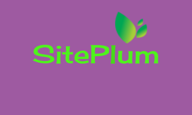 SitePlum.com - Creative brandable domain for sale