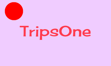TripsOne.com - Creative brandable domain for sale