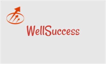 WellSuccess.com - Creative brandable domain for sale