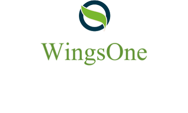 WingsOne.com - Creative brandable domain for sale