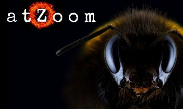 AtZoom.com - Creative brandable domain for sale