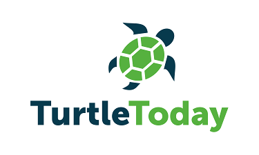 TurtleToday.com