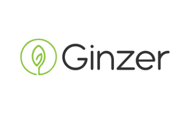 Ginzer.com