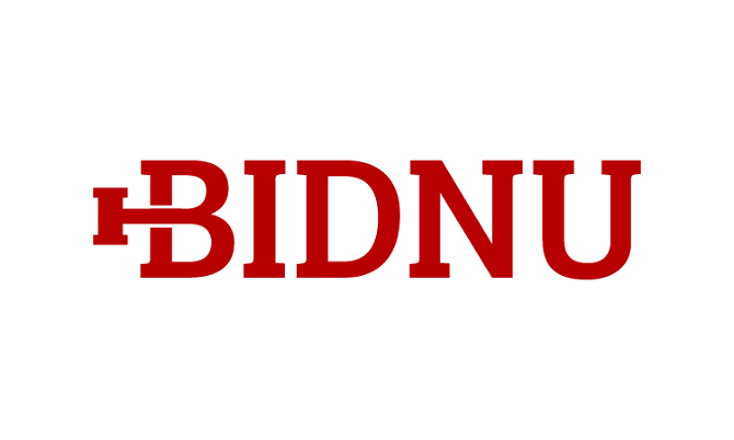 Bidnu.com