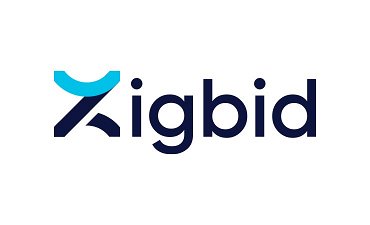 ZigBid.com - Creative brandable domain for sale