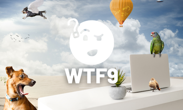 Wtf9.com - Creative brandable domain for sale