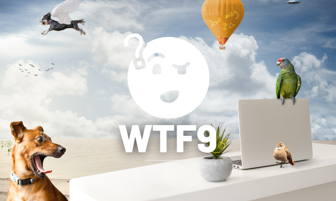 Wtf9.com