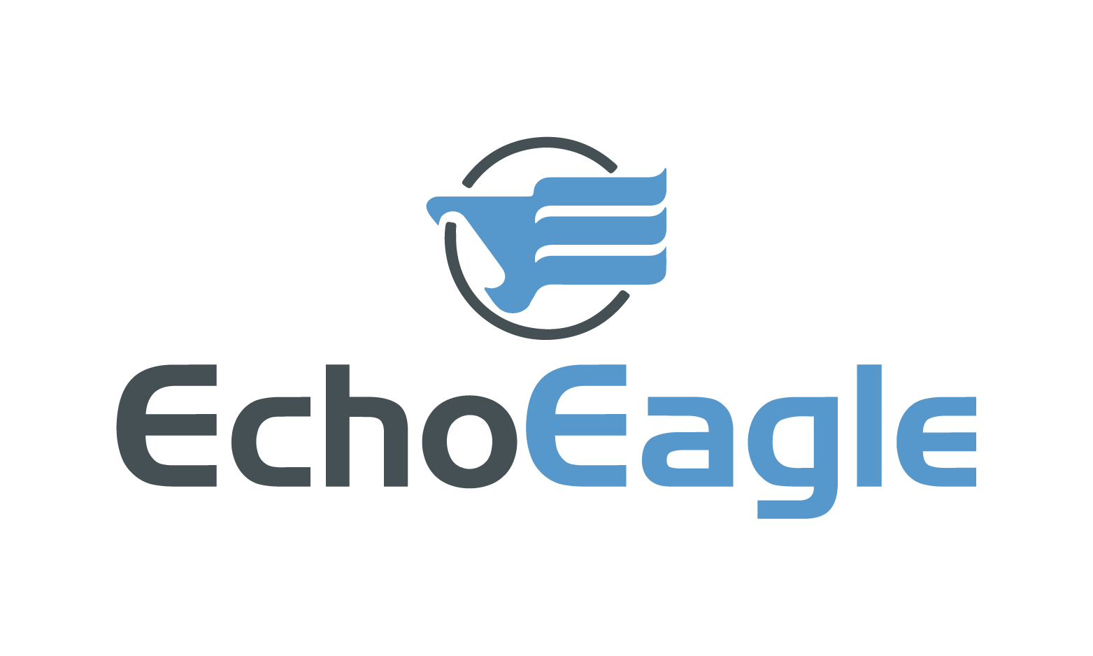 EchoEagle logo