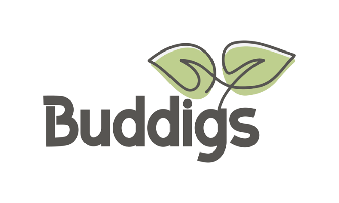 Buddigs.com