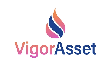 VigorAsset.com