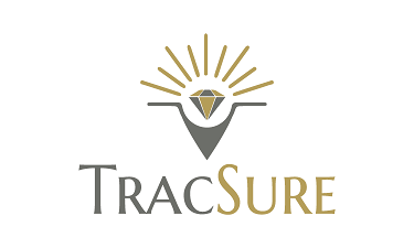 TracSure.com - Creative brandable domain for sale