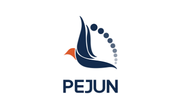 Pejun.com