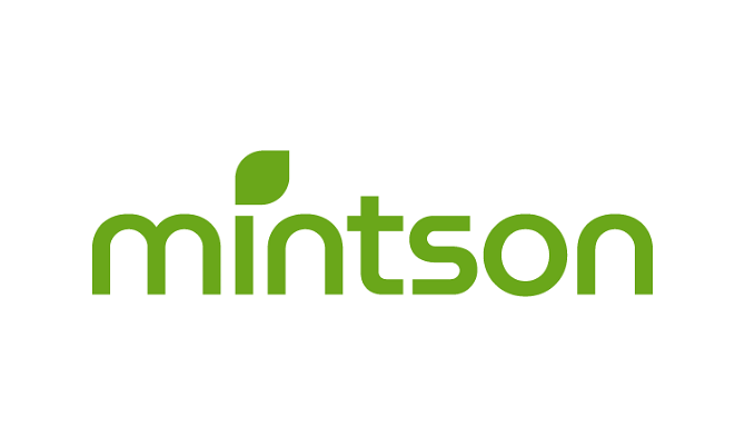 Mintson.com