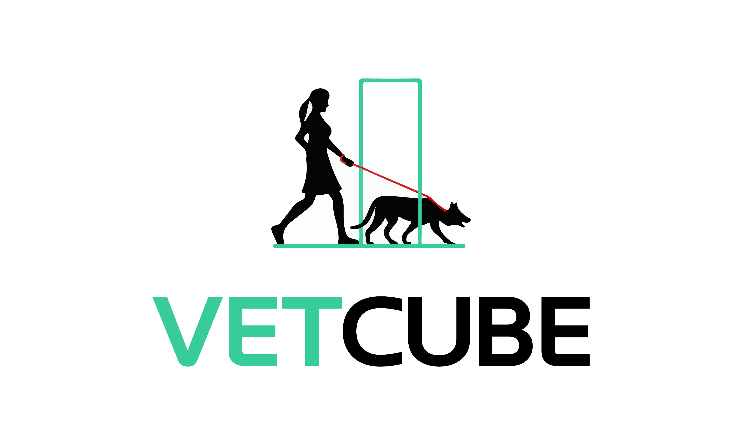 VetCube logo