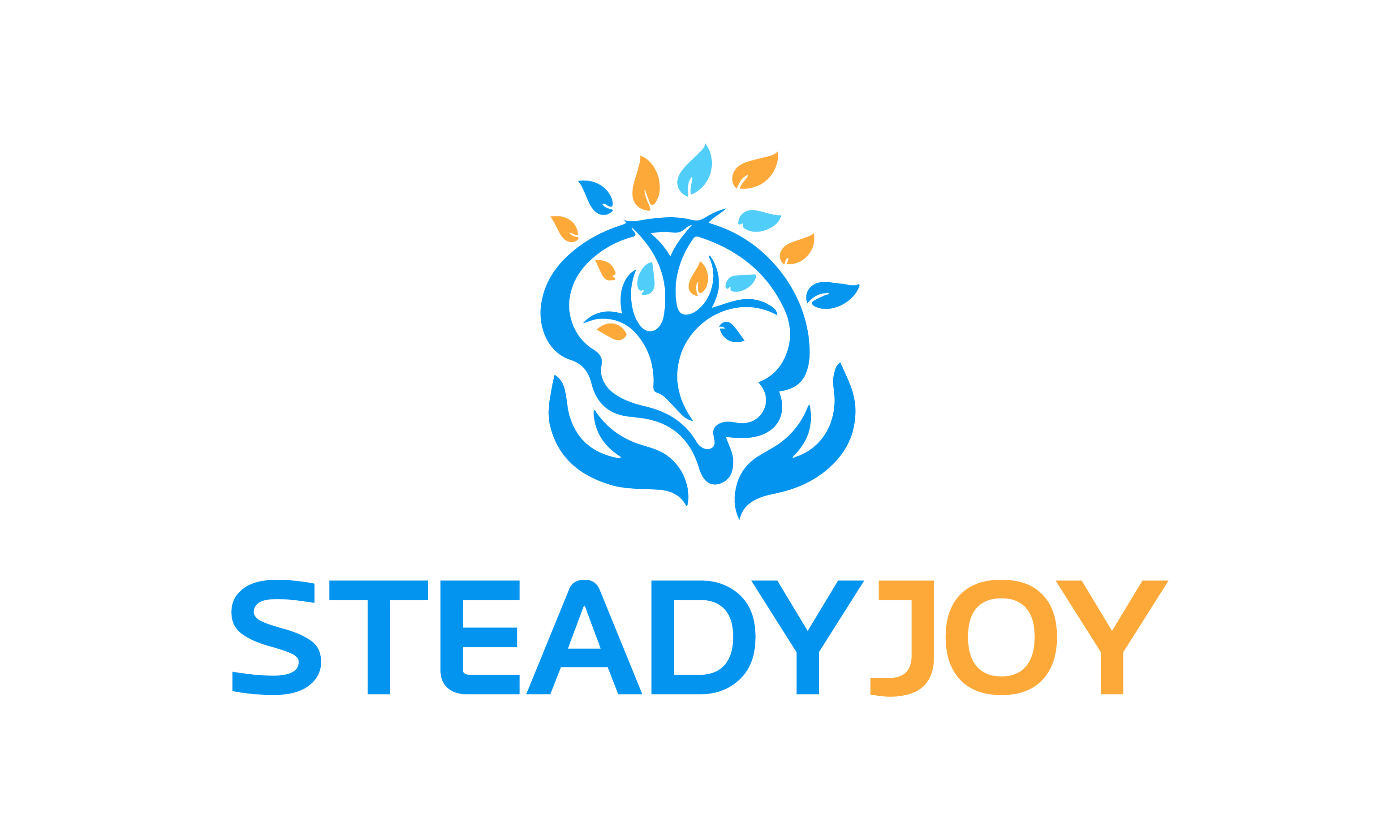SteadyJoy logo