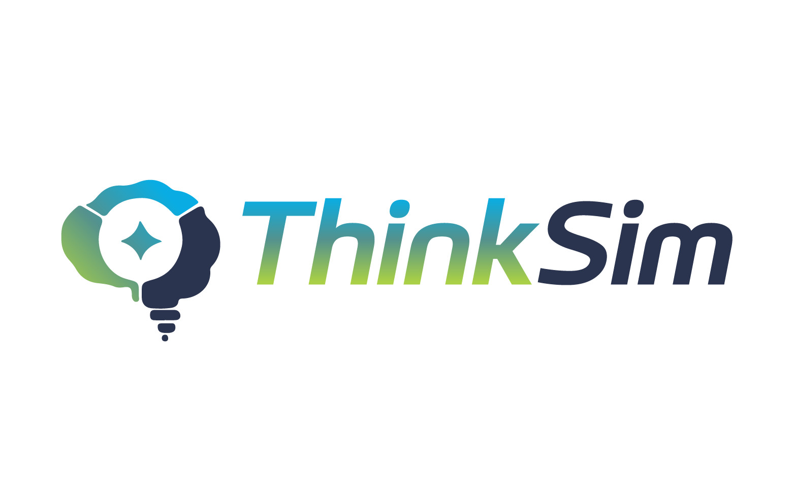 ThinkSim logo