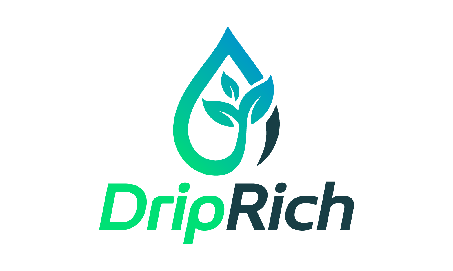 DripRich logo