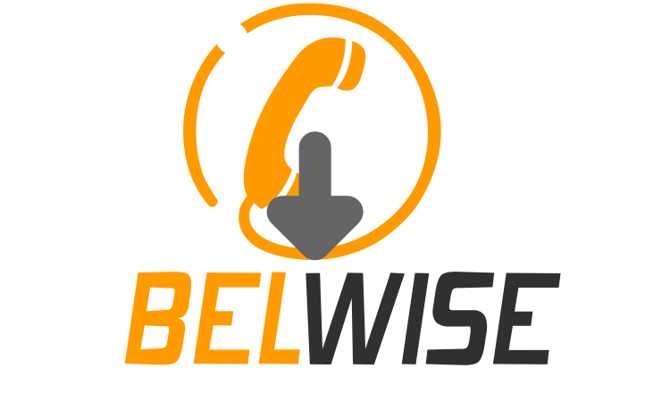 BelWise.com