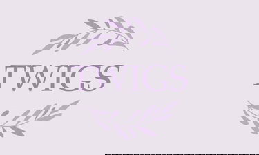 Twigs.co - Creative brandable domain for sale