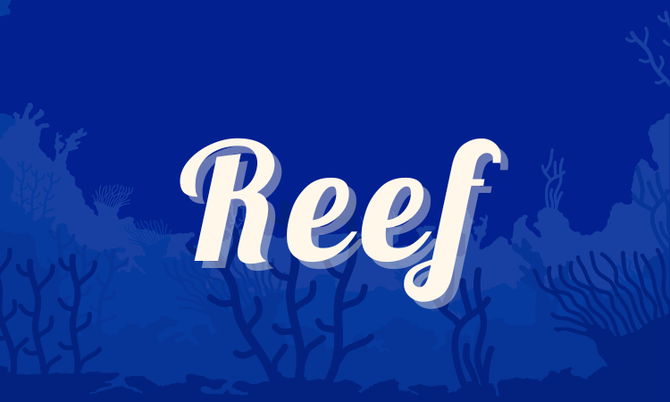 Reef.ie