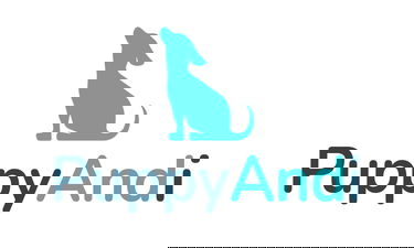 PuppyAndi.com - Creative brandable domain for sale