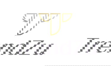 TrendZu.com - Creative brandable domain for sale