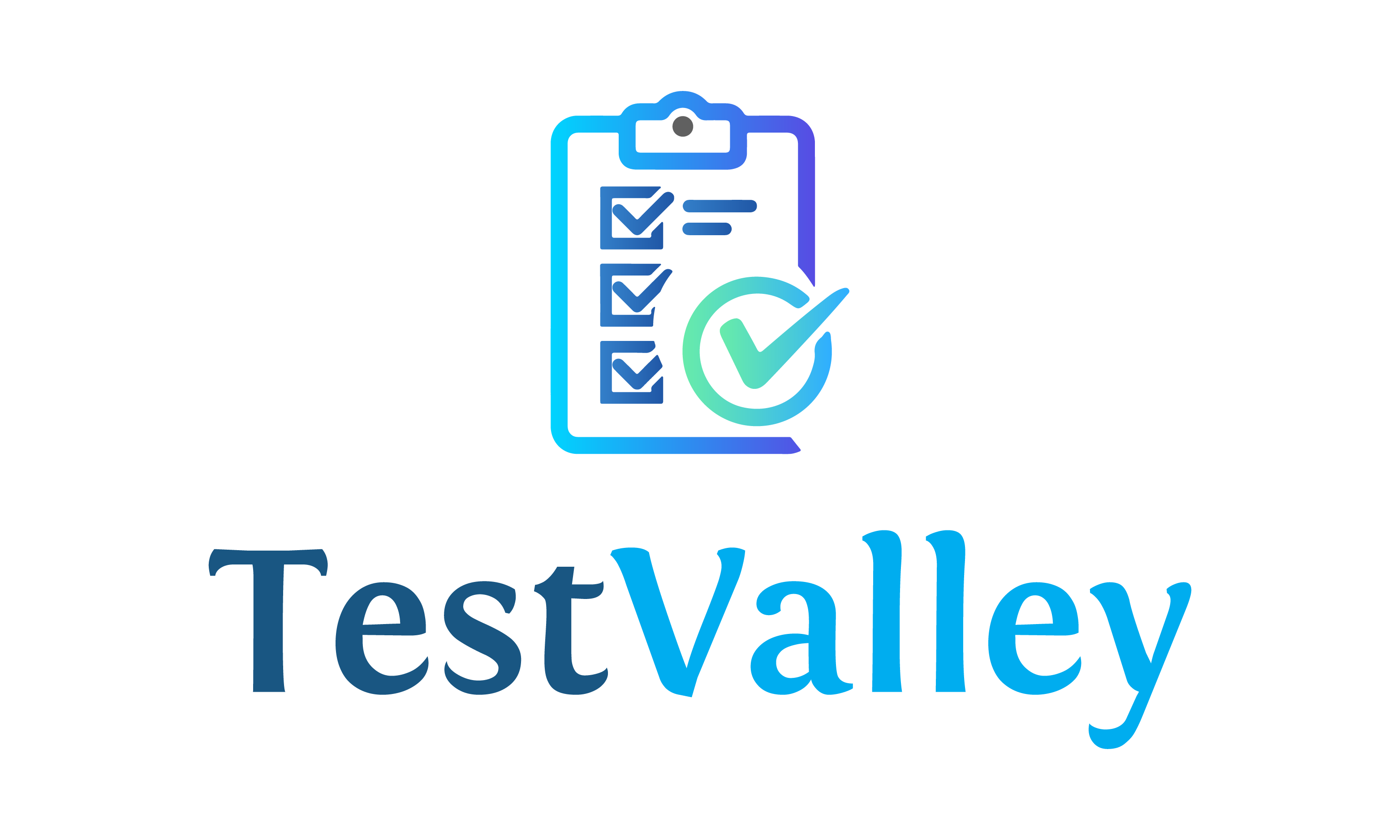 TestValley logo