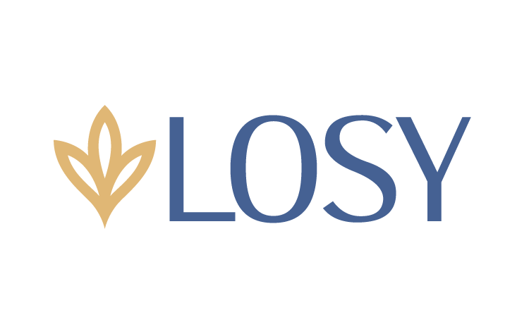 Losy logo