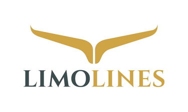 LimoLines.com - Creative brandable domain for sale