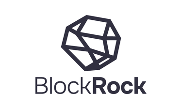 BlockRock.ai - Creative brandable domain for sale