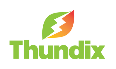 Thundix.com is for sale