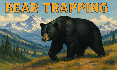 BearTrapping.com - Creative brandable domain for sale