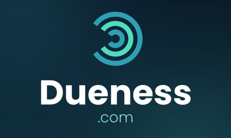 Dueness logo