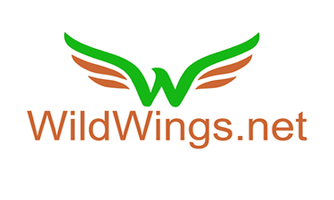 WildWings.net - Creative brandable domain for sale