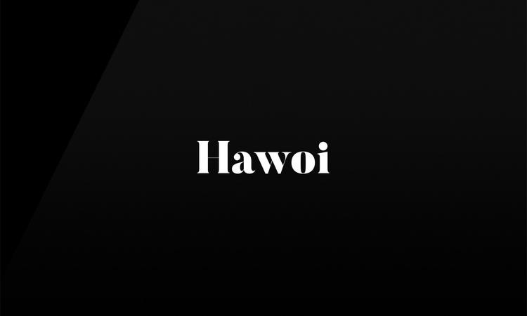 Hawoi logo
