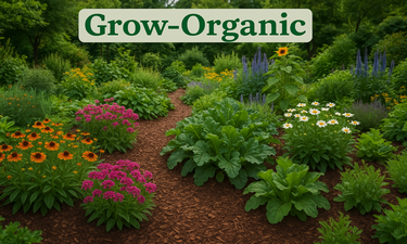 Grow-Organic.com - Creative brandable domain for sale