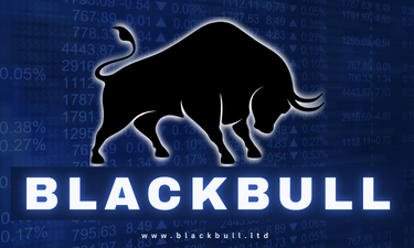 BlackBull.ltd - Creative brandable domain for sale